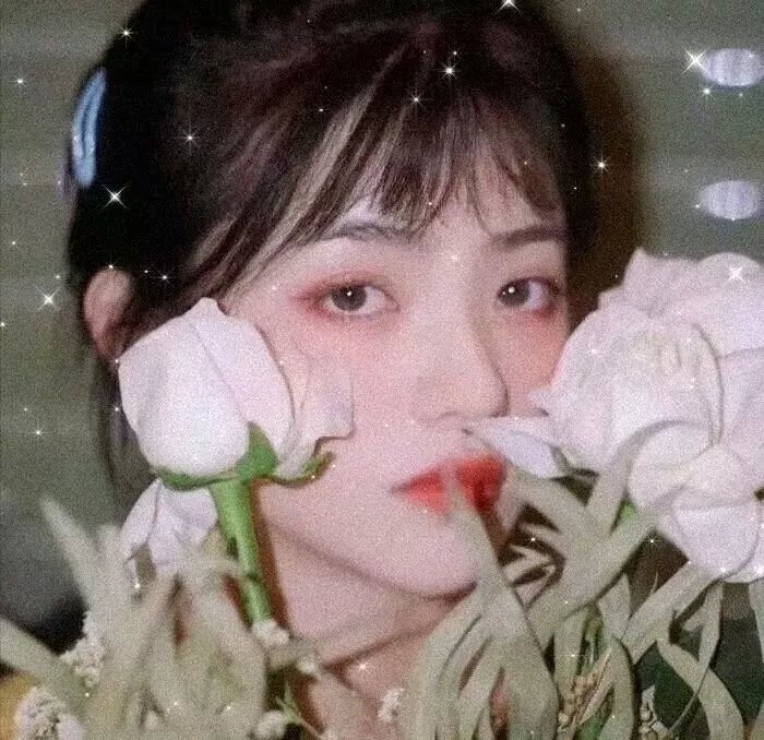 炽恋